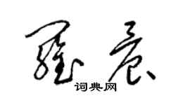 梁錦英羅晨草書個性簽名怎么寫