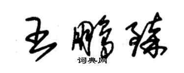 朱錫榮王鵬臻草書個性簽名怎么寫