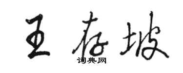 駱恆光王存坡行書個性簽名怎么寫