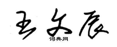 朱錫榮王文辰草書個性簽名怎么寫