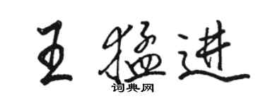 駱恆光王猛進行書個性簽名怎么寫