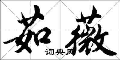 胡問遂茹薇行書怎么寫