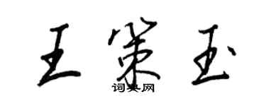王正良王策玉行書個性簽名怎么寫