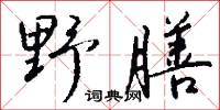 野夷的意思_野夷的解釋_國語詞典