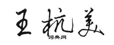 駱恆光王杭美行書個性簽名怎么寫