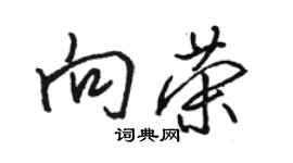 駱恆光向榮行書個性簽名怎么寫