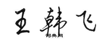 駱恆光王韓飛行書個性簽名怎么寫