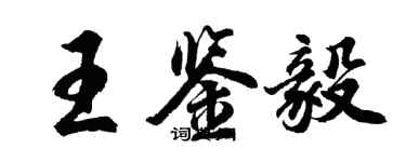 胡問遂王鑑毅行書個性簽名怎么寫