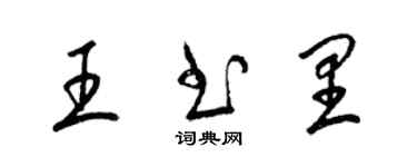 梁錦英王書里草書個性簽名怎么寫