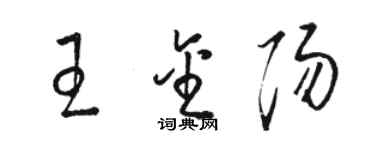 駱恆光王金陽草書個性簽名怎么寫