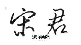 駱恆光宋君行書個性簽名怎么寫