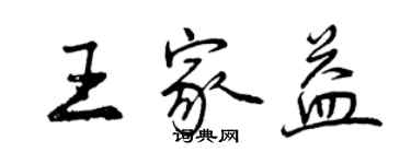 曾慶福王家益行書個性簽名怎么寫