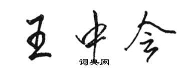 駱恆光王中會行書個性簽名怎么寫