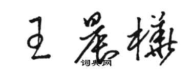 駱恆光王晨樺草書個性簽名怎么寫