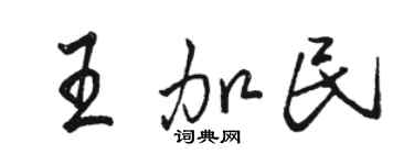 駱恆光王加民行書個性簽名怎么寫