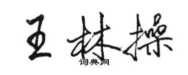 駱恆光王林操行書個性簽名怎么寫