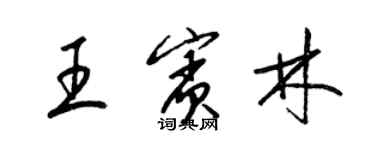 梁錦英王賓林草書個性簽名怎么寫