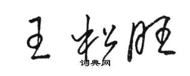 駱恆光王松旺草書個性簽名怎么寫