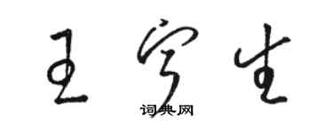 駱恆光王寧生草書個性簽名怎么寫