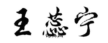 胡問遂王蕊寧行書個性簽名怎么寫