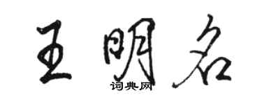 駱恆光王明名行書個性簽名怎么寫