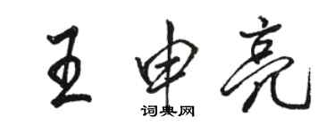 駱恆光王申亮行書個性簽名怎么寫