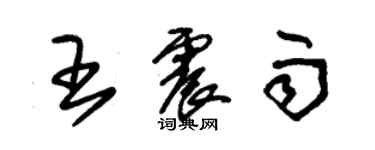 朱錫榮王震雨草書個性簽名怎么寫