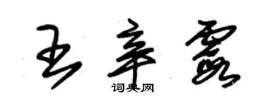 朱錫榮王辛霞草書個性簽名怎么寫