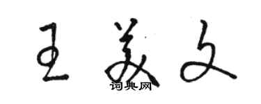 駱恆光王美文草書個性簽名怎么寫