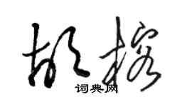 駱恆光胡榕草書個性簽名怎么寫