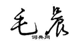 曾慶福毛晨草書個性簽名怎么寫