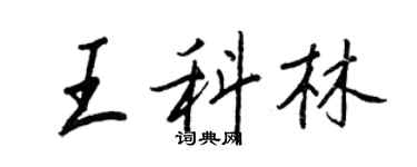 王正良王科林行書個性簽名怎么寫