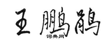 駱恆光王鵬鵑行書個性簽名怎么寫