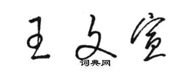 駱恆光王文宣草書個性簽名怎么寫