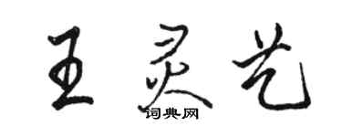 駱恆光王靈藝行書個性簽名怎么寫