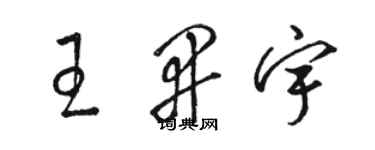 駱恆光王開宇草書個性簽名怎么寫