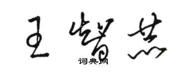 駱恆光王智赫草書個性簽名怎么寫