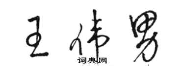 駱恆光王偉男草書個性簽名怎么寫