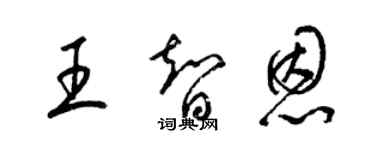 梁錦英王智恩草書個性簽名怎么寫