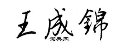 王正良王成錦行書個性簽名怎么寫
