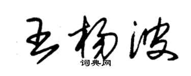 朱錫榮王楊波草書個性簽名怎么寫
