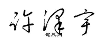 梁錦英許澤宇草書個性簽名怎么寫