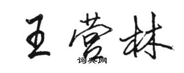 駱恆光王營林行書個性簽名怎么寫