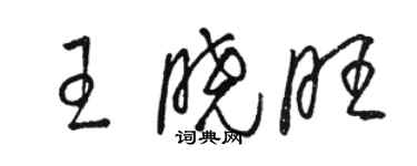 駱恆光王曉旺草書個性簽名怎么寫