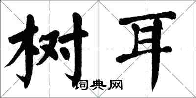 翁闓運樹耳楷書怎么寫