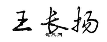 曾慶福王長揚行書個性簽名怎么寫