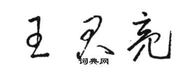 駱恆光王君亮草書個性簽名怎么寫