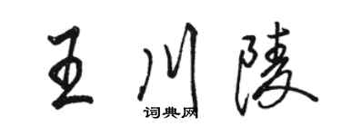 駱恆光王川陵行書個性簽名怎么寫