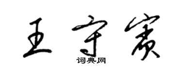 梁錦英王守賓草書個性簽名怎么寫