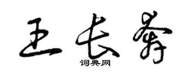 曾慶福王長奔草書個性簽名怎么寫